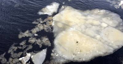 Под Тервете два человека провалились под лед и утонули