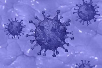 Врач: вероятность повторного заражения коронавирусом ничтожно мала