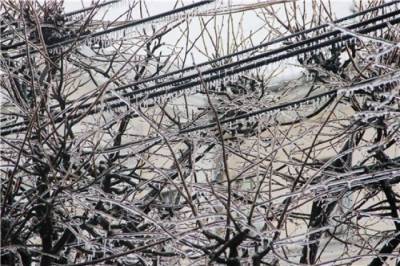 Власти Приморья отменили режим ЧС после прошедшего ледяного дождя