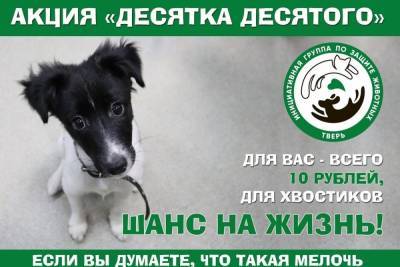 Жители Тверской области могут помочь 500 бездомным кошкам и собакам