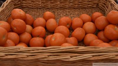 Минсельхоз намерен изменить квоту на импорт турецких помидоров