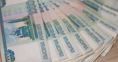 Федеральная корпорация выделит четырём калининградским инвестпроектам 205 млн рублей