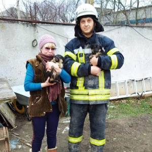 В запорожском поселке спасатели достали двух щенят из выгребной ямы. Фото