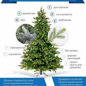 Рубить или нет: Национальный экологический совет Украины подготовил рекомендации по выбору новогодней елки