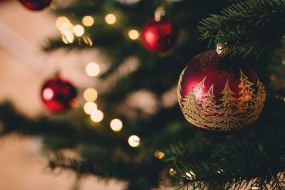 Еще одну жительницу Чувашии обманули при покупке новогодней елки