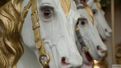 В центре Петербурга мужчина лишился носа по вине лошади