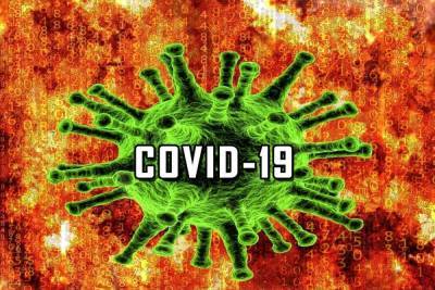 Количество смертей от коронавируса в Германии превысило 20 000