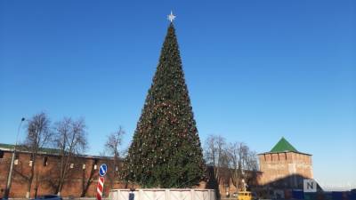 Главную городскую елку нарядили в Нижнем Новгороде