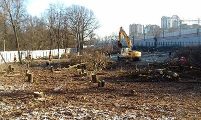 В кунцевском сквере Москвы вопреки протестам жителей вырубили многовековые дубы