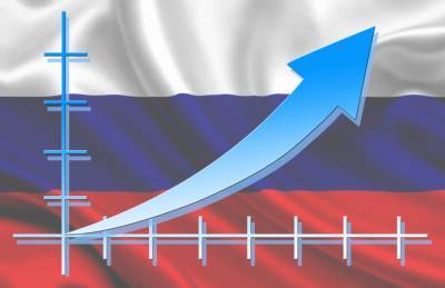 Россия значительно поднимает экспортные пошлины на подсолнечник и рапс