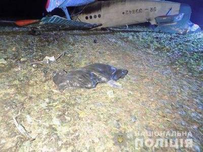 Причиной крушения самолета АН-2 могла стать ошибка пилота
