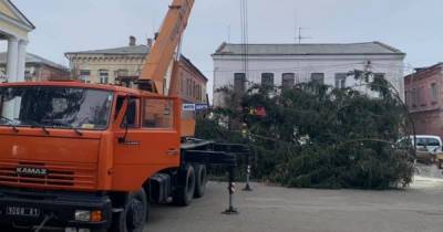 В центре Дубно установили елку, срубленную на кладбище (фото, видео)