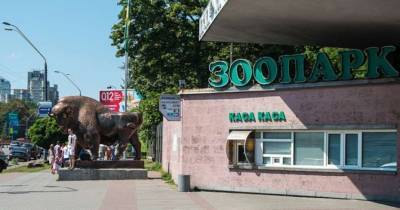 За год в киевском зоопарке родилось 90 животных