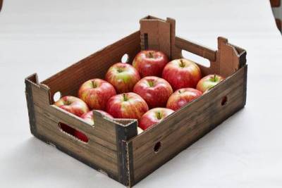 ФСБ раскрыла аферу с ящиками яблок, упавшими на бывшего мэра