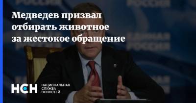 Медведев призвал отбирать животное за жестокое обращение