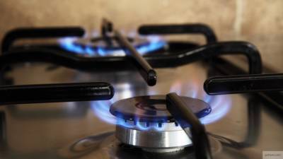 «Газпром» оценил газификацию Новосибирской области в 2,3 млрд рублей