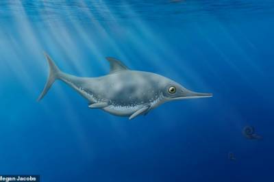 В Британии нашли останки "морского дракона", существовавшего 150 млн лет назад