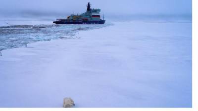 В Петербурге стартовал юбилейный форум "Арктика: настоящее и будущее"