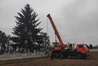 Жители Дубно обиделись на мэра за то, что привез новогоднюю елку с кладбища