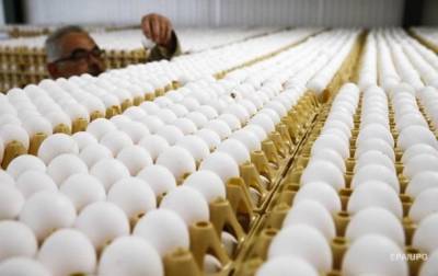 В ЕС нашли сальмонеллу в украинских яйцах