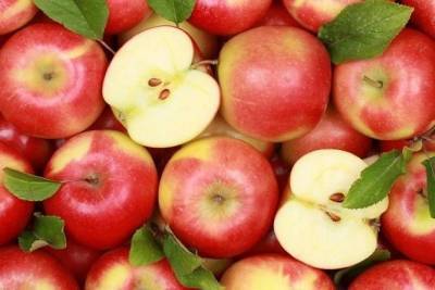 Россельхознадзор с 10 декабря запретил ввоз в Россию томатов и яблок из Азербайджана
