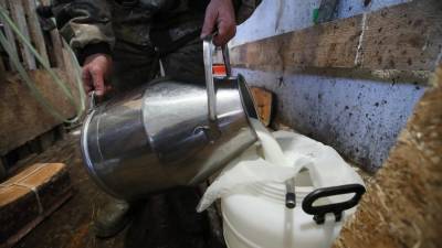 В Госдуме заявили о дефиците качественного молока в России