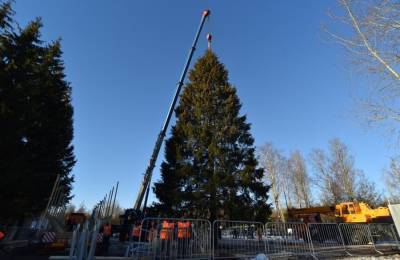 Москва онлайн покажет доставку главной новогодней елки на Соборную площадь