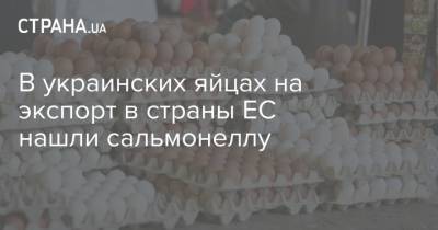 В украинских яйцах на экспорт в страны ЕС нашли сальмонеллу