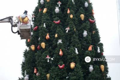 Совы, зайцы, шишки: чем украсили главную новогоднюю елку Украины, – яркие фото