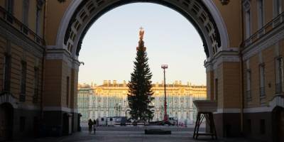 Петербуржцы возмутились облезлой ёлкой на Дворцовой площади за 13 млн