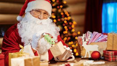 Почти половина россиян отказалась приглашать Деда Мороза и Снегурочку на Новый Год