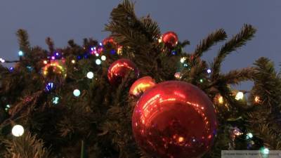 Албанцы сожгли главную новогоднюю елку после гибели нарушителя карантина