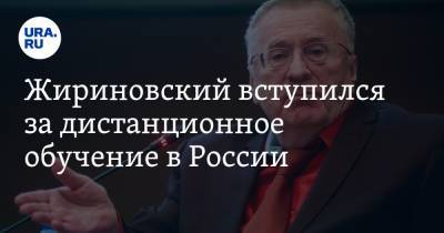 Жириновский вступился за дистанционное обучение в России