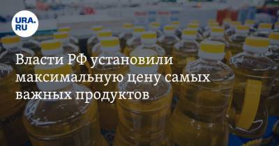 Власти РФ установили максимальную цену самых важных продуктов