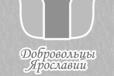 Ярославские волонтеры получили грант на развитие инклюзивного театра “Пикколо”
