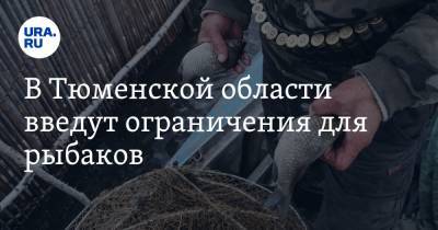 В Тюменской области введут ограничения для рыбаков