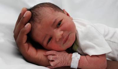 В Госдуму внесут законопроект, запрещающий суррогатным матерям рожать для иностранцев