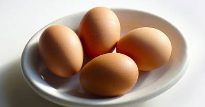 Латвия нашла сальмонеллу в куриных яйцах из Украины