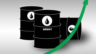 Цена нефти Brent превысила $51 впервые с марта