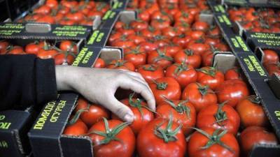 Новое «овощное эмбарго» может поднять цены на перец, томаты и яблоки