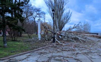 Посносит крыши и поломает деревья: украинцам надо поберечься, штормовое предупреждение