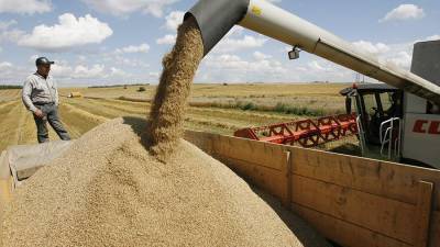 В России допустили введение пошлины на экспорт пшеницы