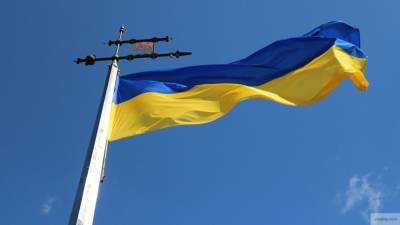 Эксперт Шабовта рассказал, что спасет Украину от тотальной криминализации