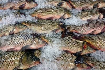 В Татарстане на рыбоводные хозяйства выделят 27 млн. рублей
