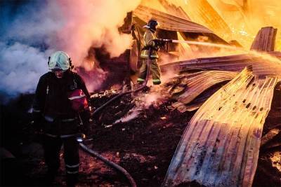 В горящем научном центре ФМБА обрушилась крыша (видео)