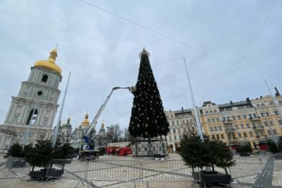 В Киеве завершили украшать главную елку страны: фото новогодней красавицы