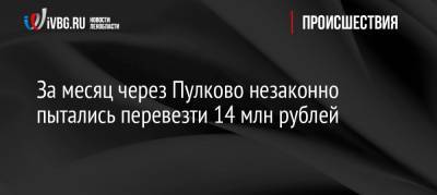 За месяц через Пулково незаконно пытались перевезти 14 млн рублей