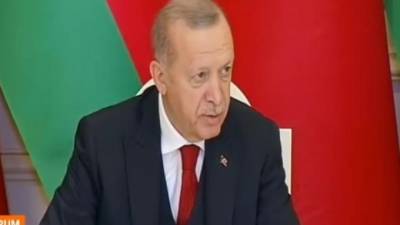 Владимир Путин - Реджеп Тайип Эрдоган - Эрдоган оценил позицию Путина в урегулировании конфликта в Нагорном Карабахе - piter.tv - Грузия - Турция - Иран - Азербайджан