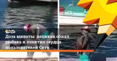 Доза милоты: пеликан обнял рыбака и похитил сердца пользователей Сети
