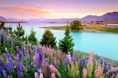 15 самых красивых мест Новой Зеландии